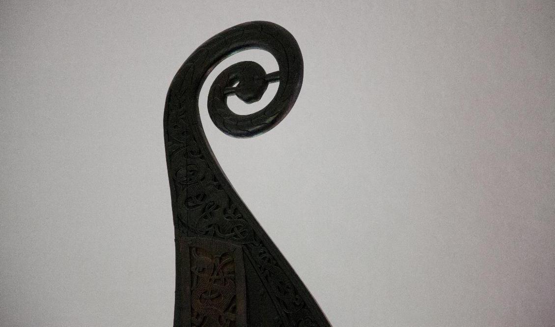 Vikingar var på Newfoundland åtminstone så tidigt som år 1021, enligt en ny studie. Arkivbild. Foto: Tor Erik Schrøder/NTB/TT