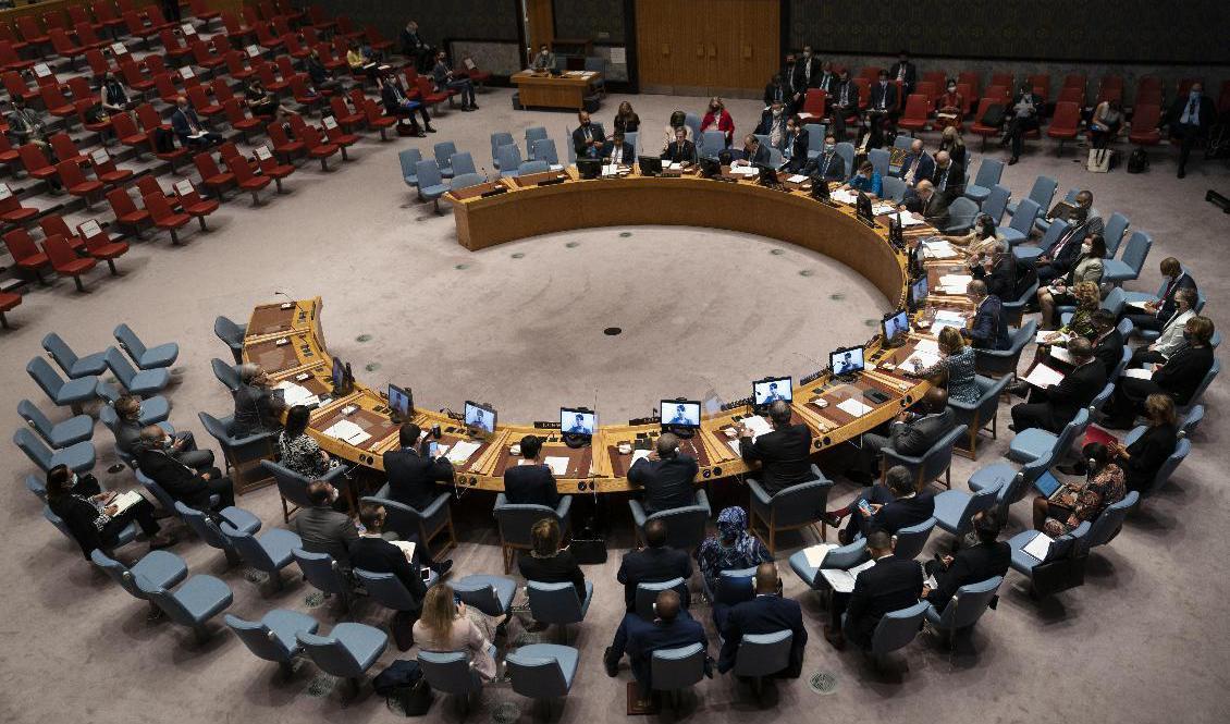 FN:s säkerhetsråd i New York. Arkivbild. Foto: John Minchillo/AP/TT