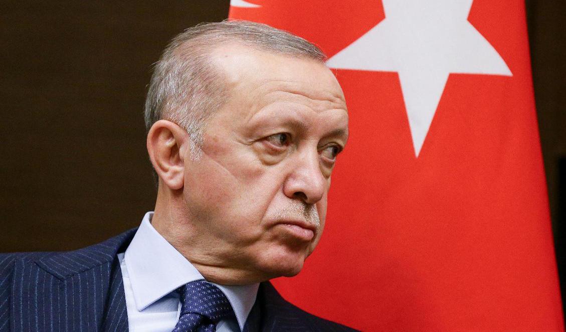Turkiets president Recep Tayyip Erdogan. Arkivbild. Foto: Vladimir Smirnov/AP/TT