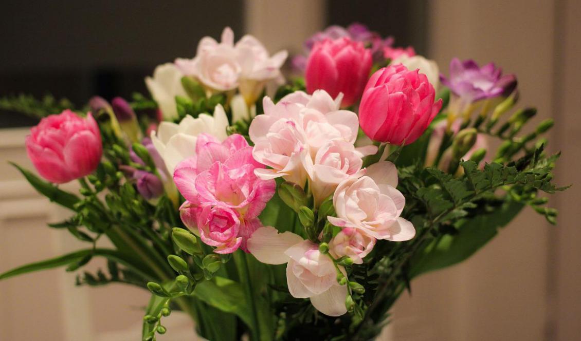 Förra året skickade vi mer blomsterbud än någonsin tidigare. Foto: Katja S. Verhoven/Pixabay