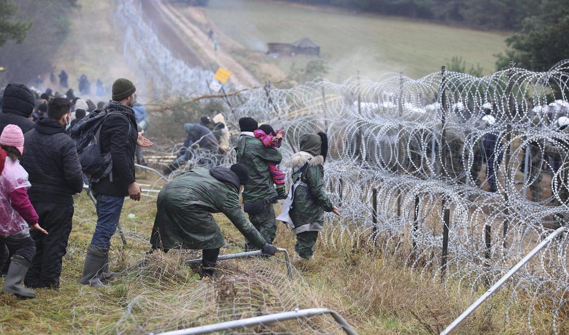 Migranter med barn vid gränsen Belarus–Polen. På andra sidan syns de polska soldaternas vita hjälmar. Foto: Leonid Sjtjeglov/AP/TT