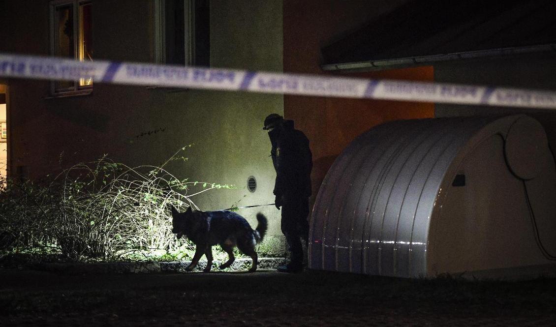 Polis med hund undersöker ett område i stadsdelen Fröslunda i Eskilstuna på lördagskvällen. Vissa beslag har gjorts, enligt åklagare. Arkivbild. Foto: Stina Stjernkvist/TT