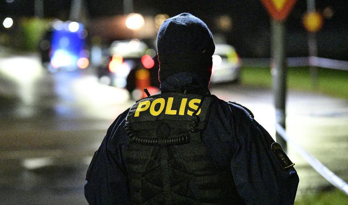 Missfirmelse mot tjänsteman – vilket innefattar förolämpningar av poliser – bör bli brottsligt igen, skriver polisens nationella huvudskyddsombud. Arkivbild. Foto: Johan Nilsson/TT