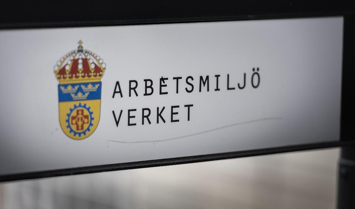 Säkerhetsbrister och misstänkta brott har upptäckts inom transportbranschen. Arkivbild. Foto: Naina Helén Jåma/TT