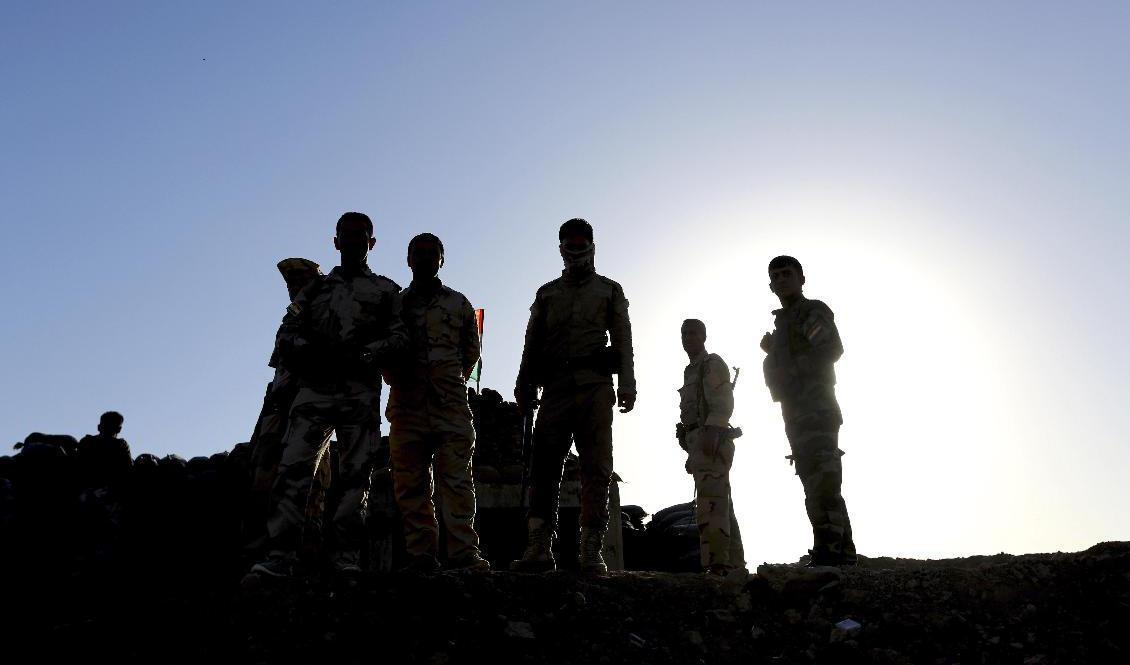 Sju av de dödade är peshmerga-soldater. Arkivbild. Foto: Hadi Mizban/AP/TT