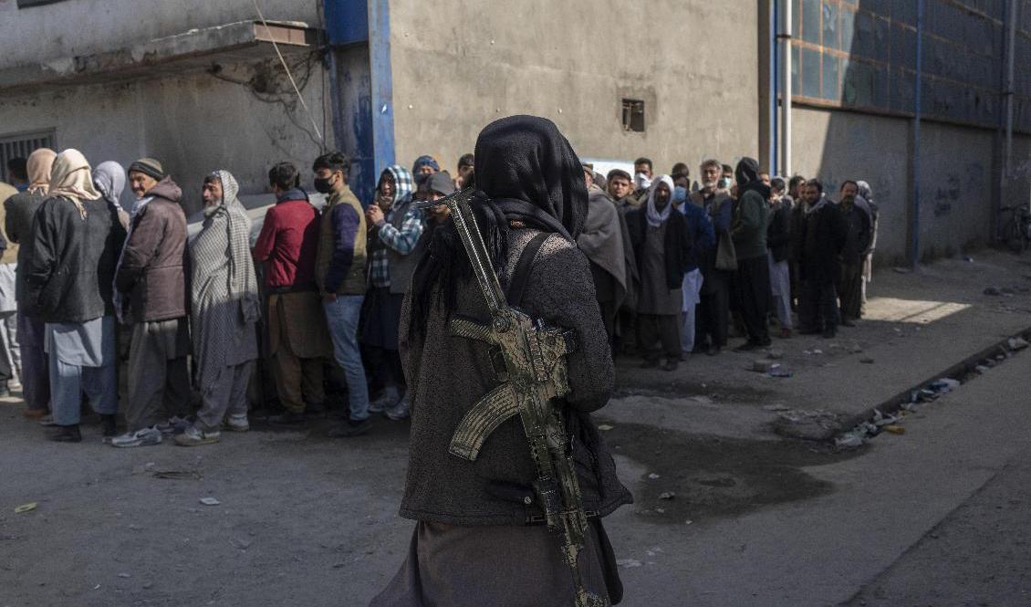 En taliban övervakar en köbildning i Afghanistans huvudstad Kabul i november. Foto: Petros Giannakouris