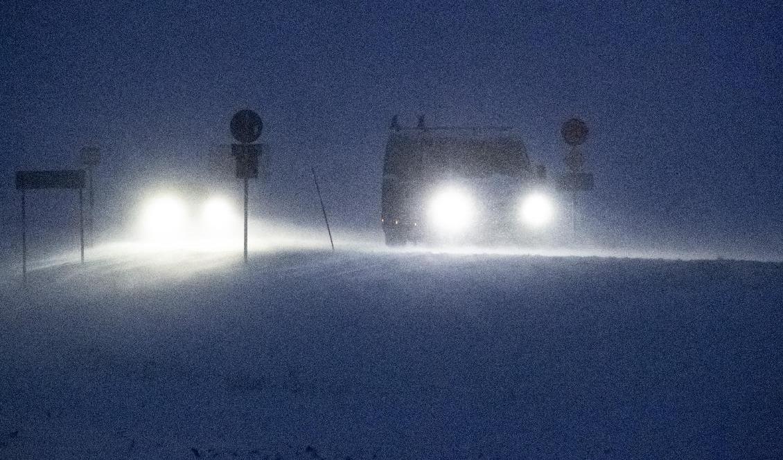 Omkring en decimeter snö har fallit på sina håll i Svealand och södra Norrland under kvällen och natten. Arkivbild. Foto: Johan Nilsson/TT