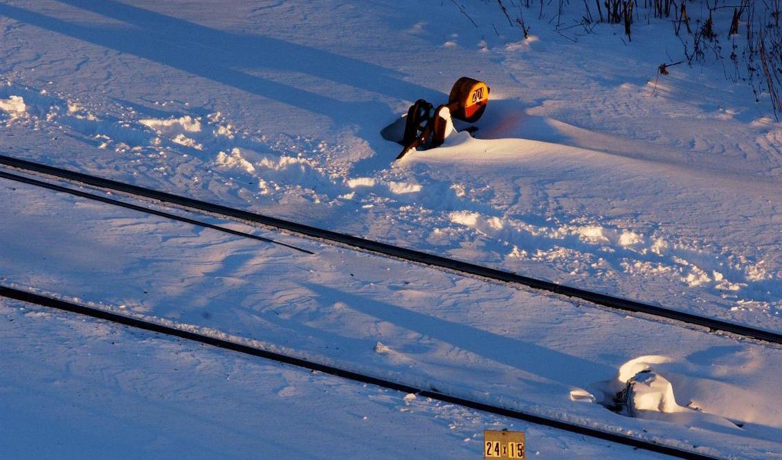 Tåg ställs in som en säkerhetsåtgärd på grund av sträng kyla. Arkivbild. Foto: Jan Collsiöö/TT