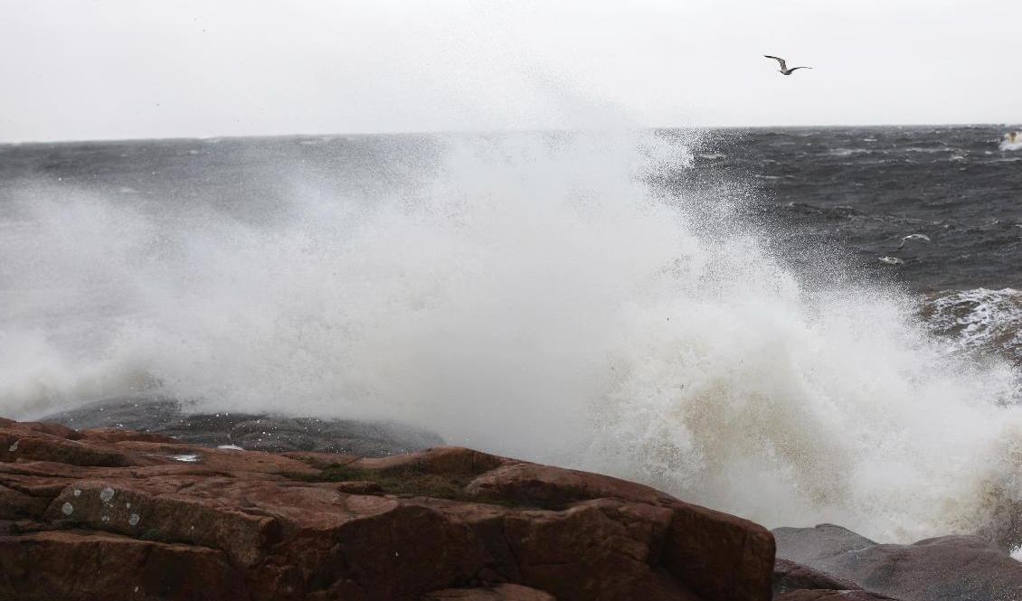 Ett oväder med hårda vindar rör sig över Sverige. Arkivbild. Foto: Adam Ihse/TT