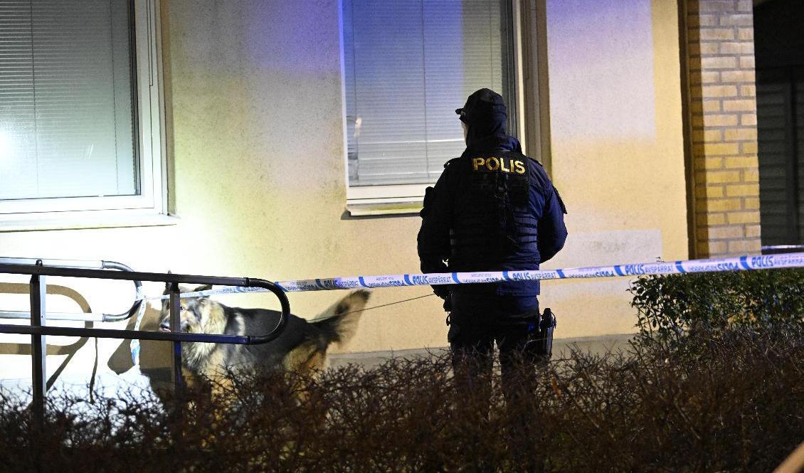En man sköts till döds i Malmö på lördagen. Foto: Johan Nilsson/TT