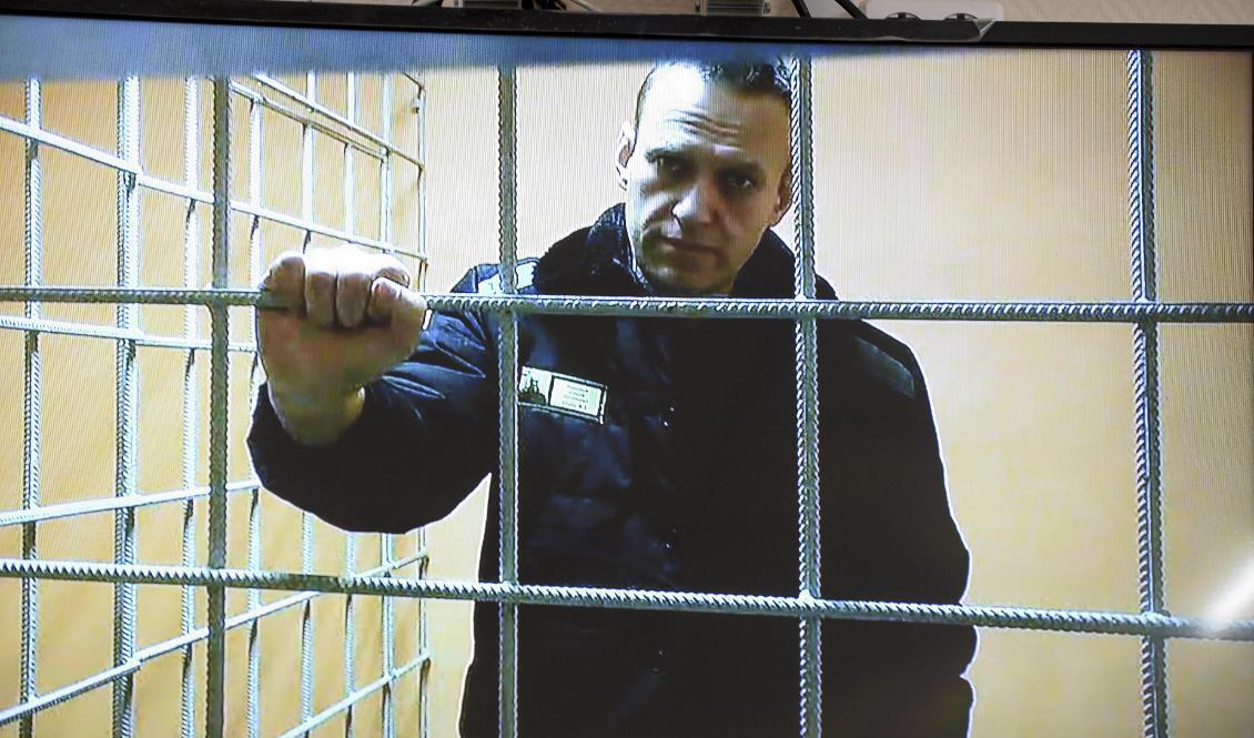 Ryssland har satt upp Aleksej Navalnyj på en lista över terrorister. Foto: AP/TT