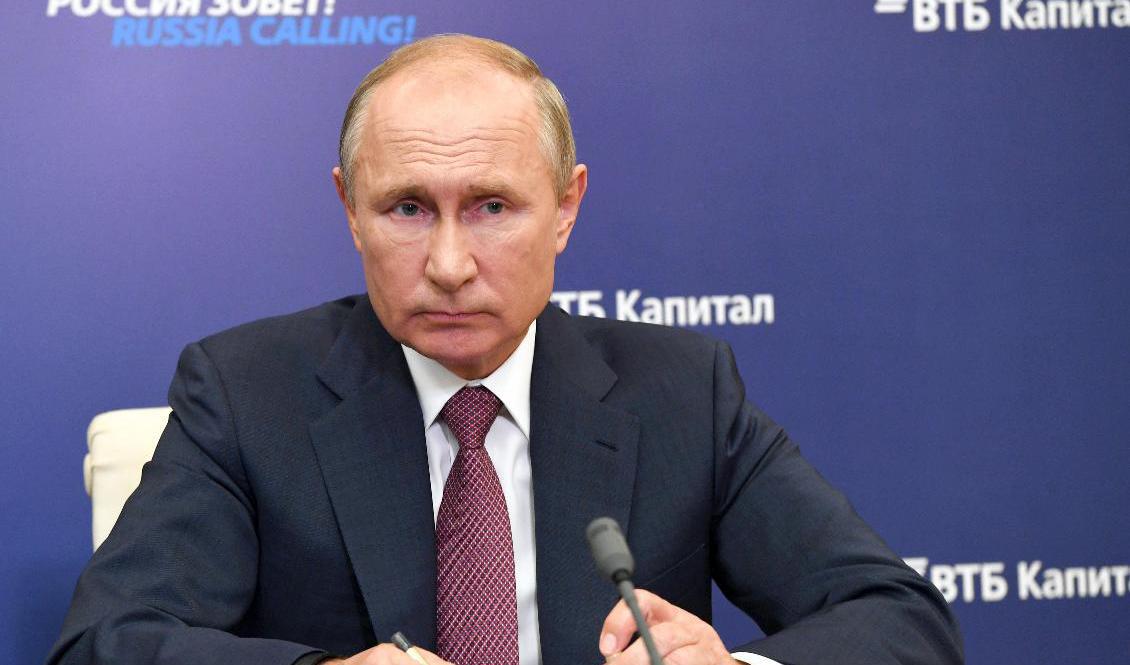 Rysslands president Vladimir Putin har talat i telefon med franske presidenten Emmanuel Macron. Foto: Alexei Nikolsky/Kreml via AP/TT