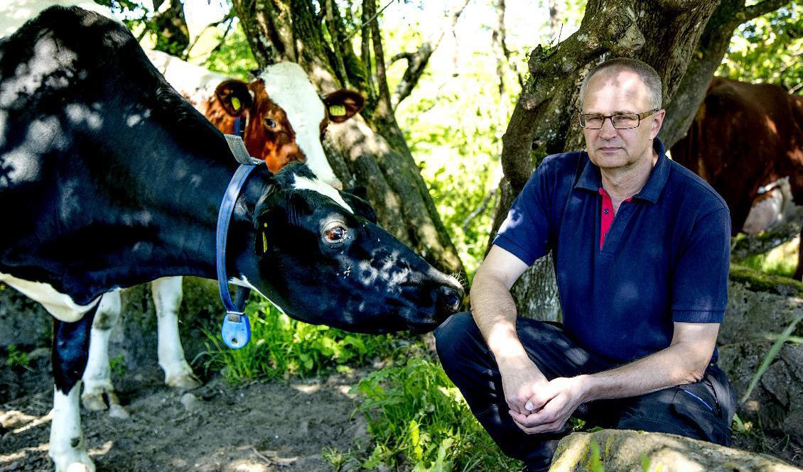 Palle Borgström, ordförande för LRF, har varit i möte med lantbruksministern och efterfrågar stöd för lantbruksföretagens ökade kostnader för drivmedel och andra insatsvaror. Arkivbild. Foto: Adam Ihse/TT