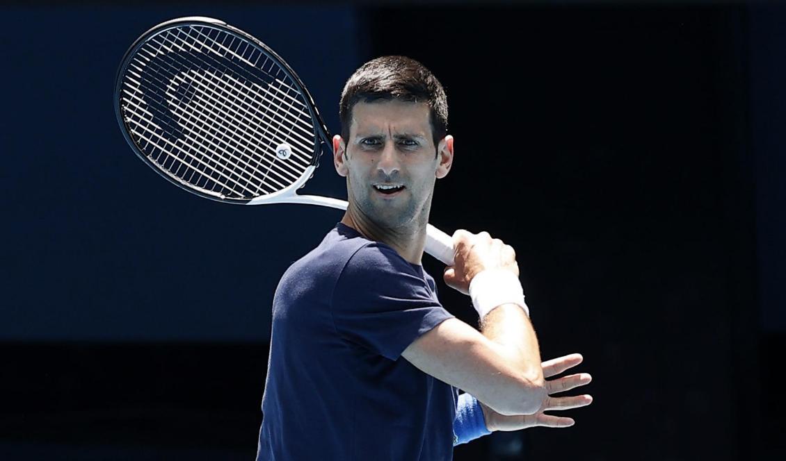 Den serbiske tennisstjärnan Novac Djokovic i Melbourne i Australien den 12 januari 2022. Foto: Darrian Traynor/Getty Images
