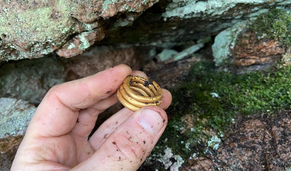 

En unik guldring, som väger cirka 43 gram, från 500-talet har hittats i Tanums kommun av en jägare. Foto: Carl-David Granbäck                                                                                        