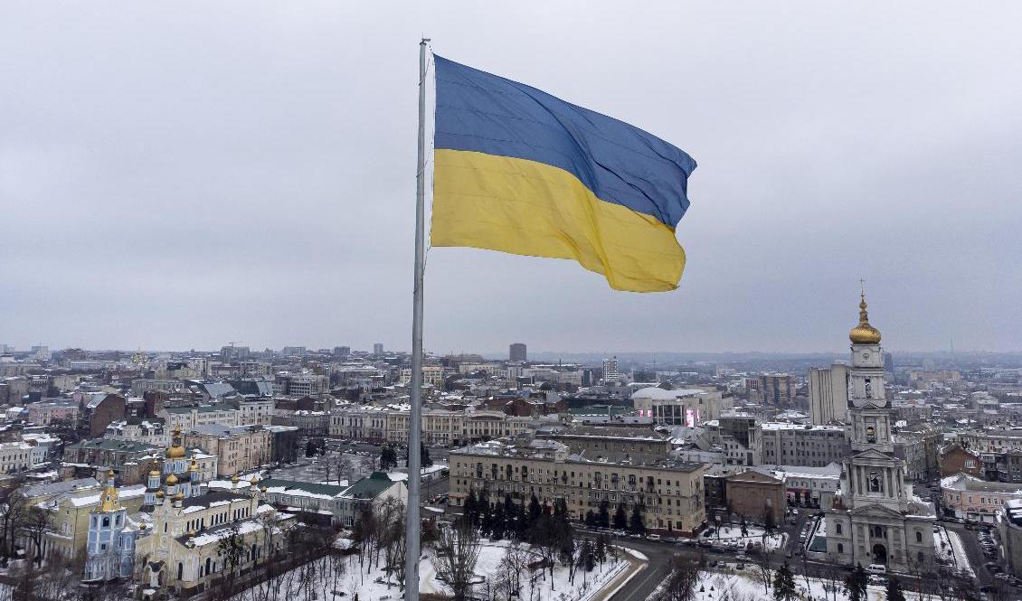 Den ukrainska flaggan. Arkivbild. Foto: Evgeniy Maloletka/AP/TT