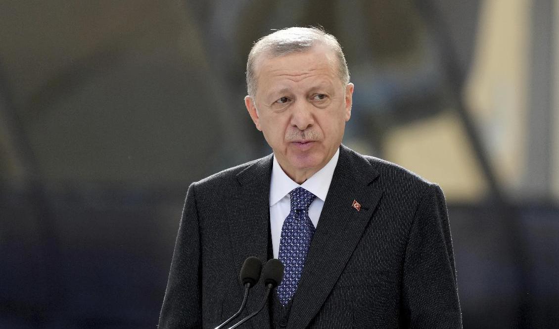 Turkiets president Recep Tayyip Erdogan anklagas för att tysta kritiker med förolämpningslagen. Arkivbild. Foto: Ebrahim Noroozi/AP/TT
