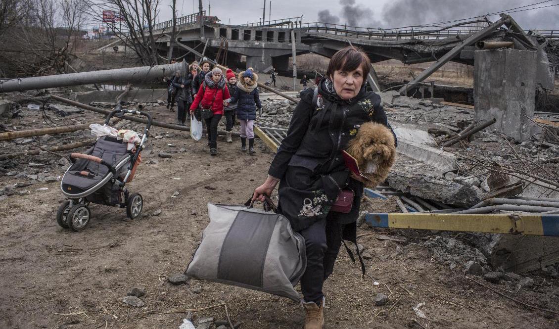 Människor passerar under förstörd bro när de försöker fly Irpin, väster om Kiev, under söndagen. Foto: Oleksandr Ratushniak/AP/TT