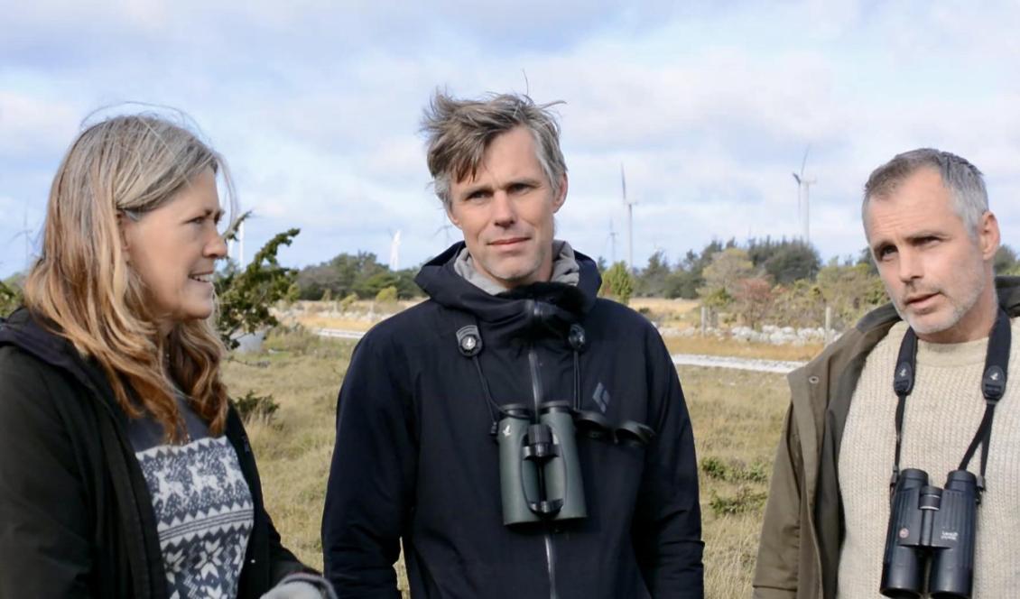 Biologen Mårten Hjernquist (i mitten), hans bror Måns med fru Annika Jörnemark är alla engagerade i fåglarnas situation kopplat till vindkraftindustrin på Näsudden på södra Gotland . Foto: Per Hansson