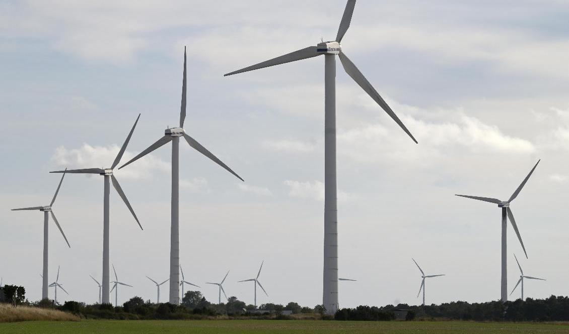 Vindkraft nära Näsudden på Gotland. Arkivbild. Foto: Fredrik Sandberg/TT