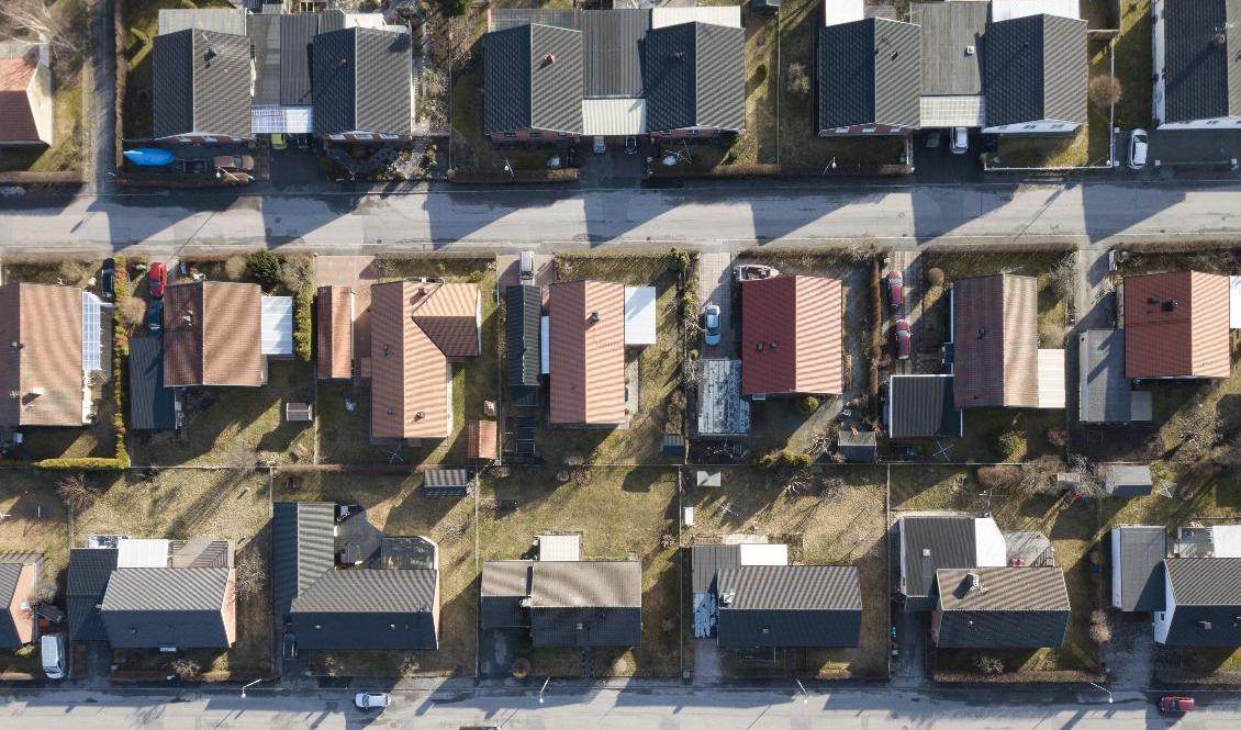 Dyrare i år. Arkivbild. Foto: Fredrik Sandberg/TT