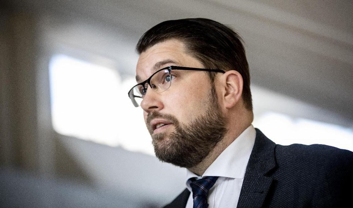 SD:s partiledare Jimmie Åkesson. Arkivbild. Foto: Christine Olsson/TT