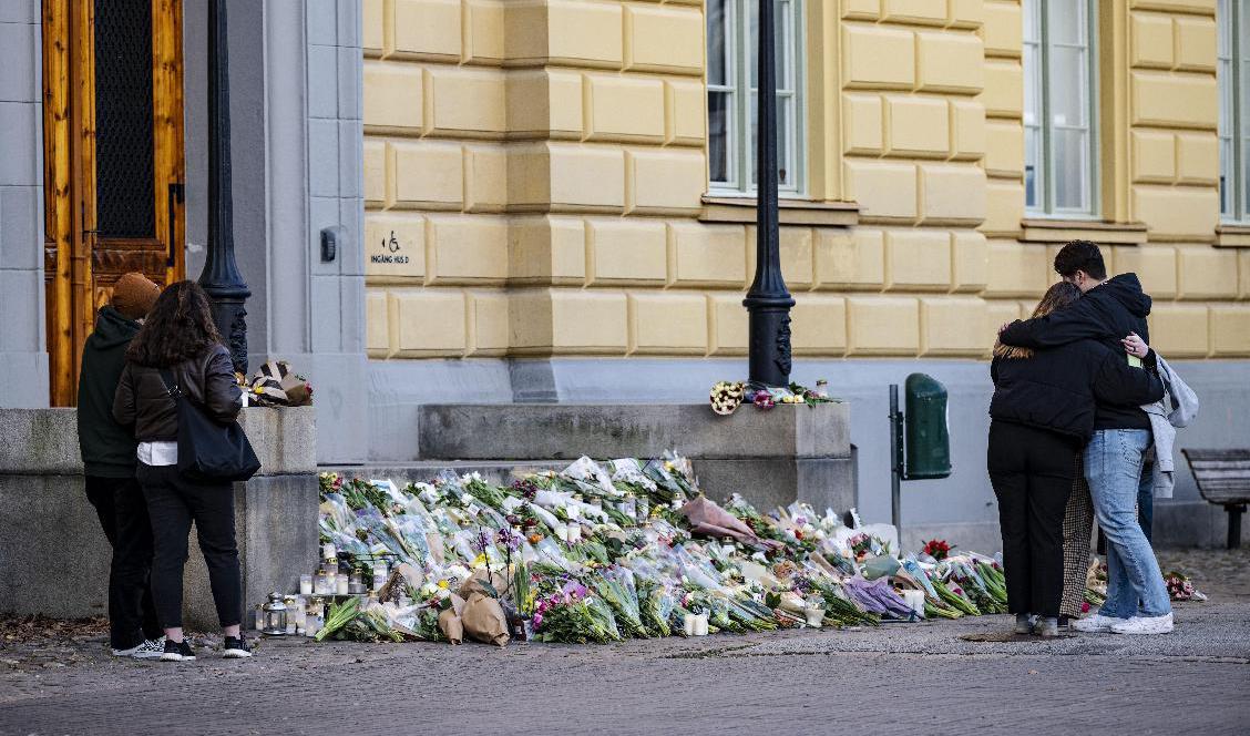 Hur bra är säkerheten på skolorna i Sverige? På Malmö Latinskola dödades två lärare av en elev nyligen. Arkivbild. Foto: Johan Nilsson/TT