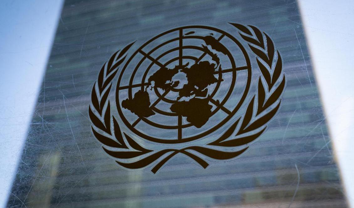 De 193 medlemsländerna i FN:s generalförsamling röstade på tisdagen igenom en resolution som påverkar vetoförfarandet. Arkivbild. Foto: John Minchillo/AP/TT