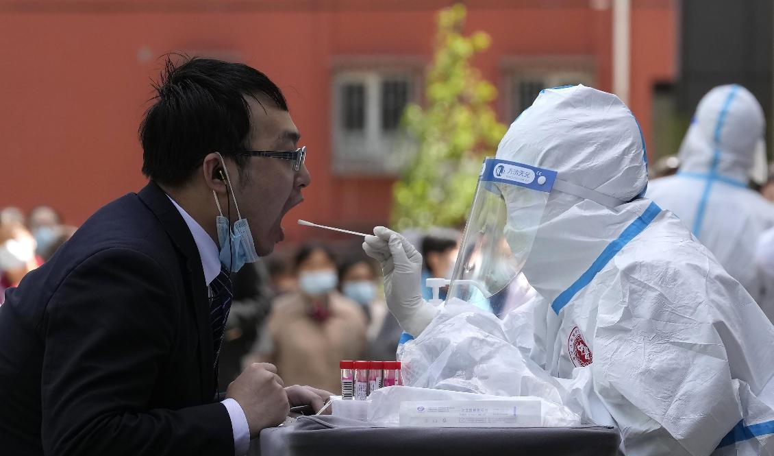 Covidtest i Peking. Foto: Ng Han Guan/AP/TT