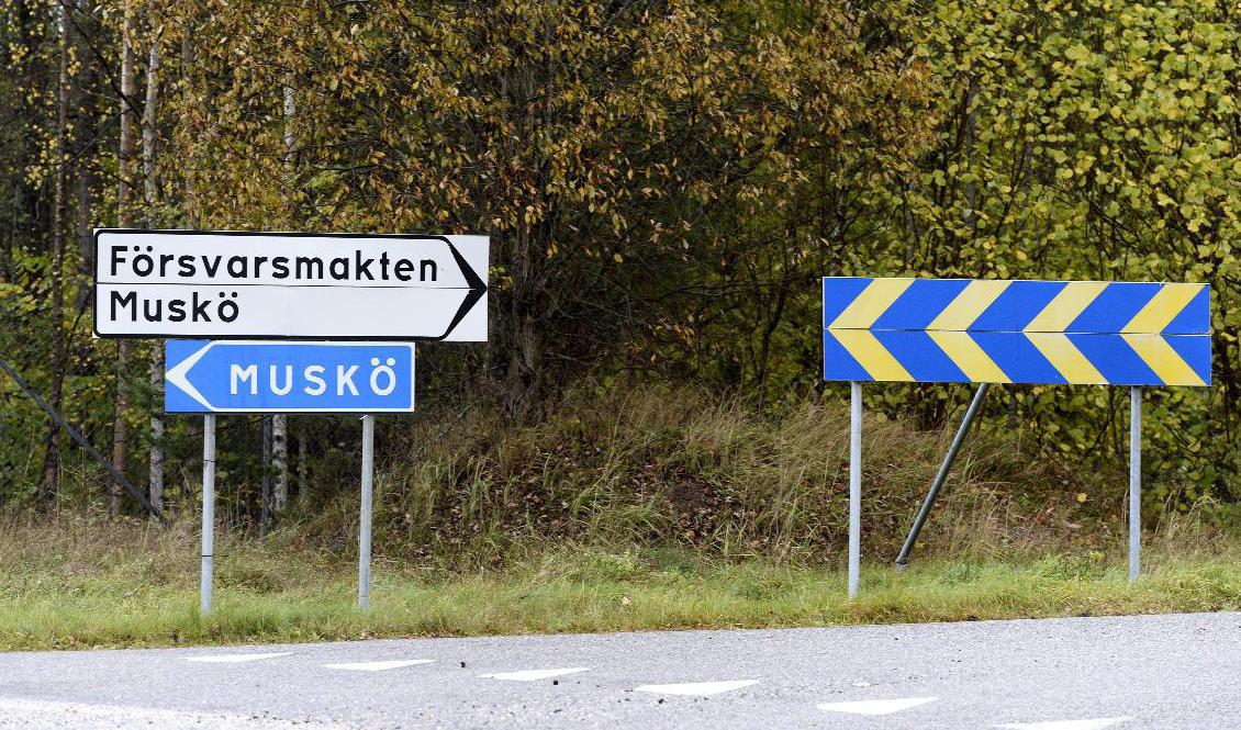 Musköbasen. Arkivbild. Foto: Pontus Lundahl/TT