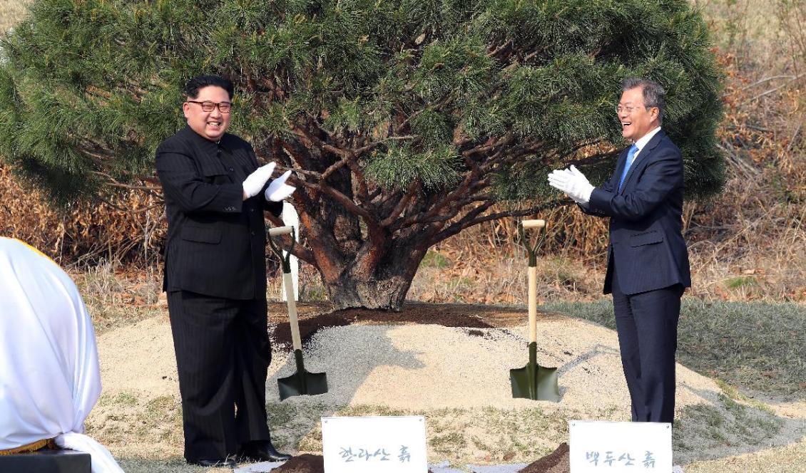 

Nordkoreas president Kim Jong-Un, och Sydkoreas president Moon Jae-In vid det tredje interkoreanska toppmötet i Panmunjom i Sydkorea 2018. Foto: Korea Summit Press Pool/Getty Images                                                                                        