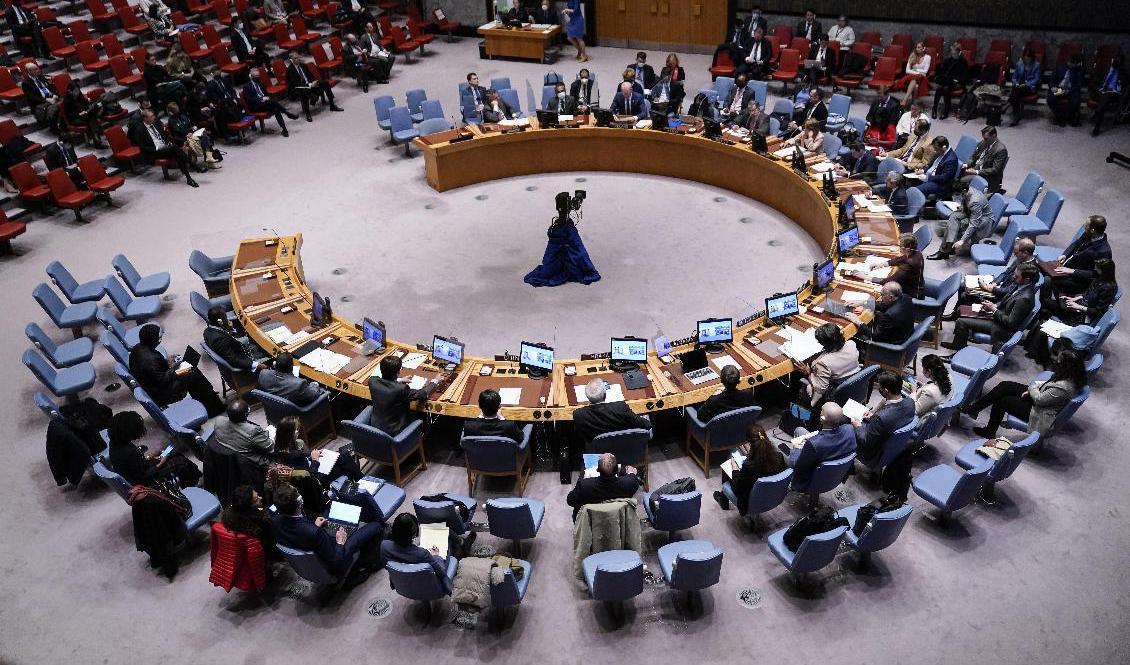 
FN:s säkerhetsråd. Arkivbild. Foto: John Minchillo/AP/TT                                            