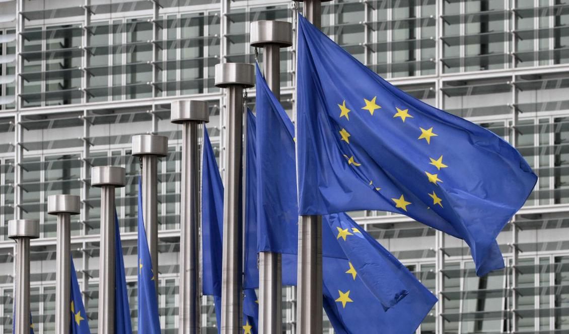 EU-länderna förhandlar om ett sjätte sanktionspaket mot Ryssland. Arkivbild. Foto: Yves Logghe/AP/TT