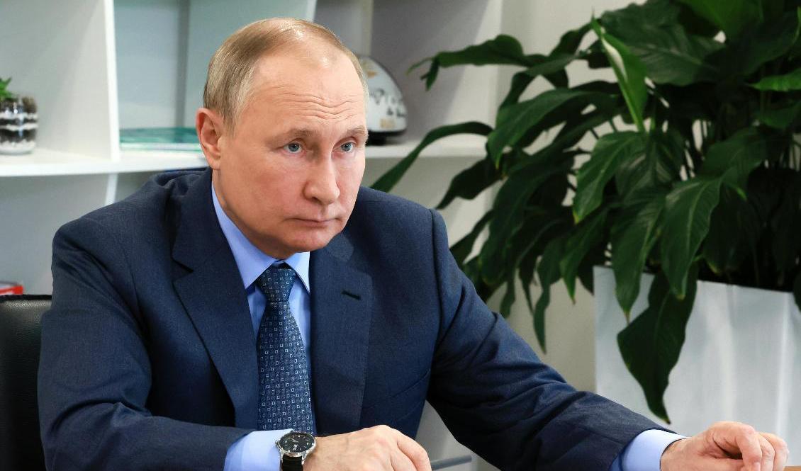 Rysslands President Vladimir Putin vid ett möte 11 maj. Foto: Mikhail Metzel/AP/TT