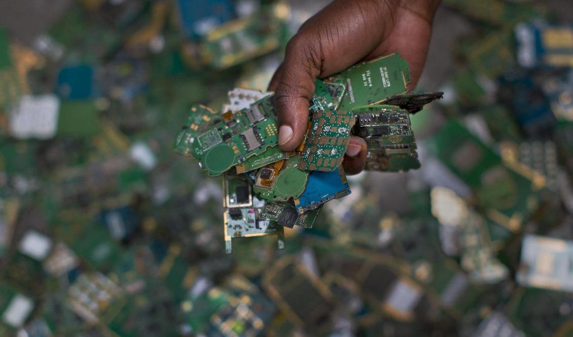I datorer och mobiltelefoner döljer sig värdefulla metaller. Men de återvinns sällan. Arkivbild. Foto: Ben Curtis/AP/TT