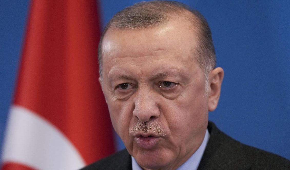 Turkiets president Recep Tayyip Erdogan vid ett möte med Nato i mars. Arkivbild. Foto: Markus Schreiber/AP/TT