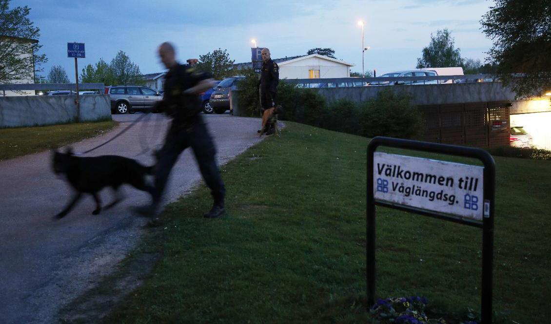 Borås har pekats ut som en kommun med en stark grogrund för våldsbejakande extremism och terrorrekrytering. Arkivbild. Foto: Adam Ihse/TT