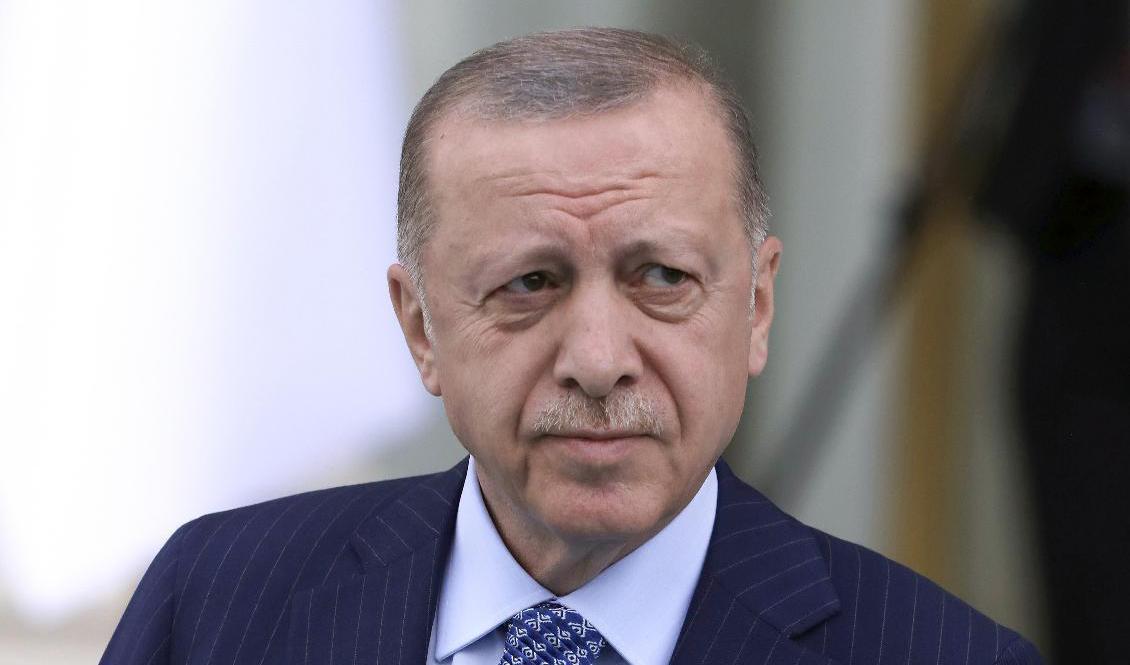 Samtalen i Ankara nådde inte upp till "önskad nivå", säger Erdogan. Arkivbild. Foto: Burhan Ozbilici/AP/TT