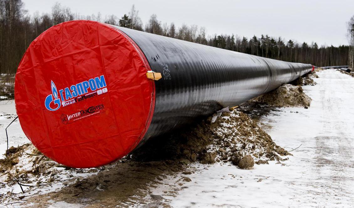 Den ryska gasjätten Gazprom kommer stoppa gasleveranserna till energibolaget Örsted. Arkivbild. Foto: Henrik Montgomery/TT