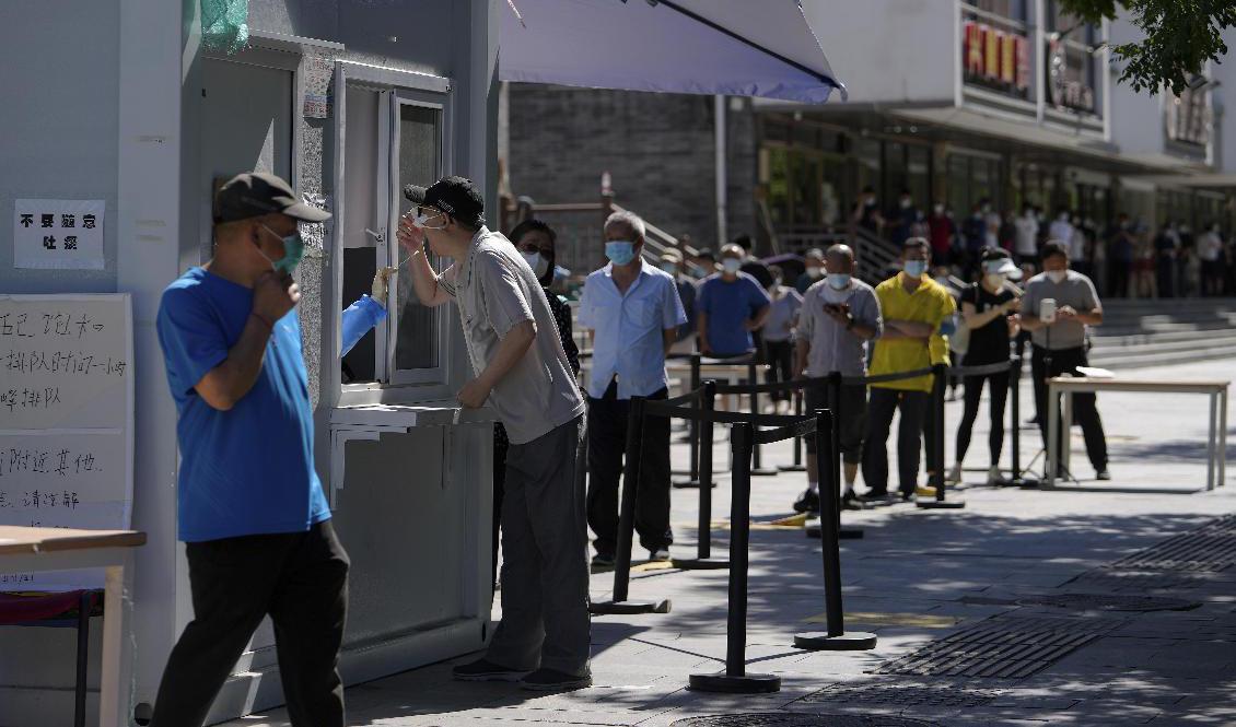 Pekingbor köar för att testa sig under söndagen. Foto: Andy Wong/AP/TT