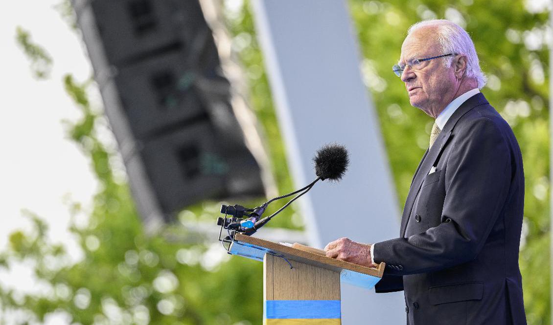 Kung Carl XVI Gustaf talar under det traditionsenliga nationaldagsfirandet på Skansen. Foto: Henrik Montgomery/TT