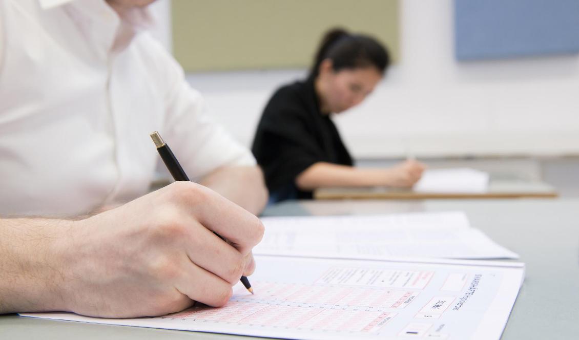 Många elever som har gått på gymnasiet i en friskola läser vidare på högskola eller universitet. Foto: Eva Dahlin