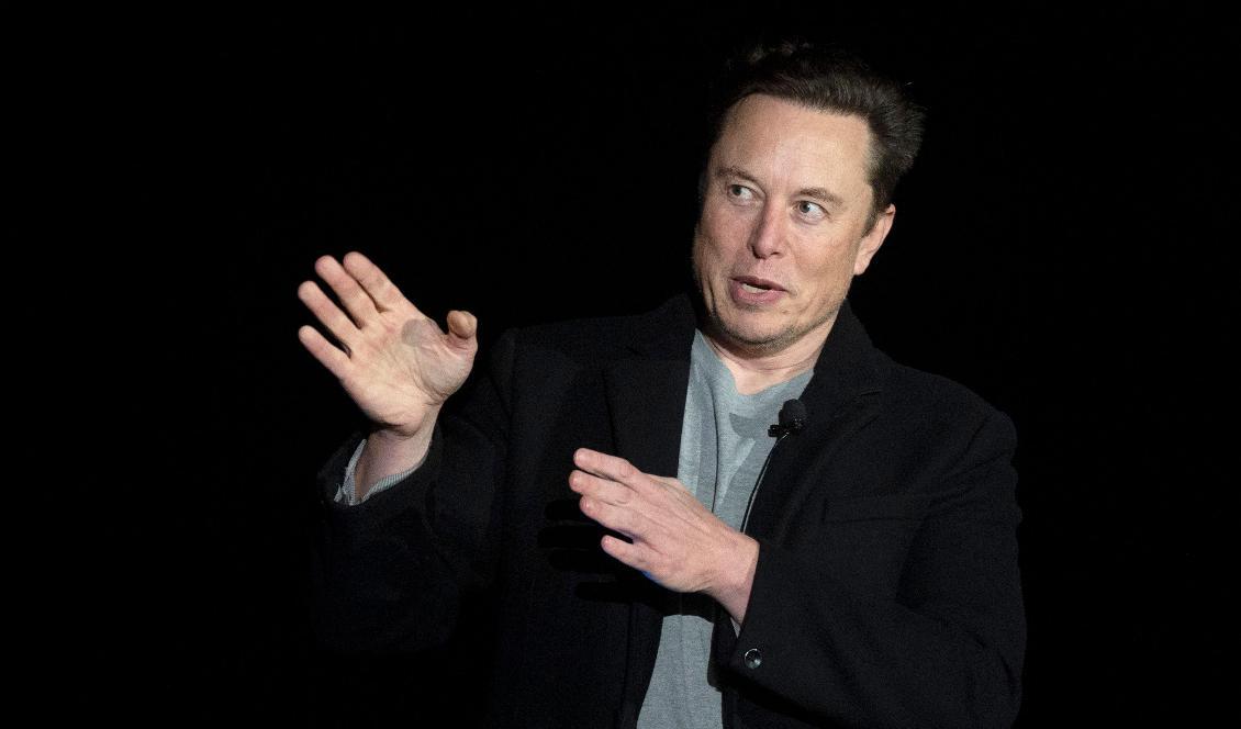 Teslas vd Elon Musk. Foto: Jim Watson/AFP via Getty Images