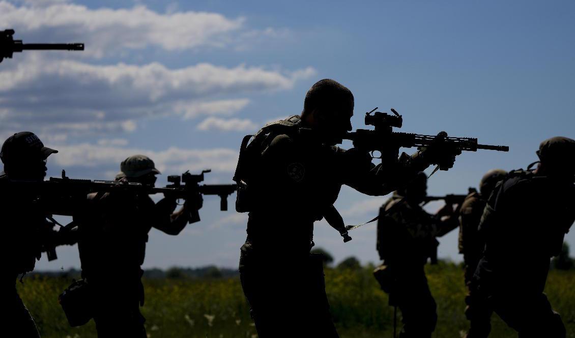 Kriget får både humanitära och ekonomiska följder. Arkivbild. Foto: Natacha Pisarenko/AP/TT