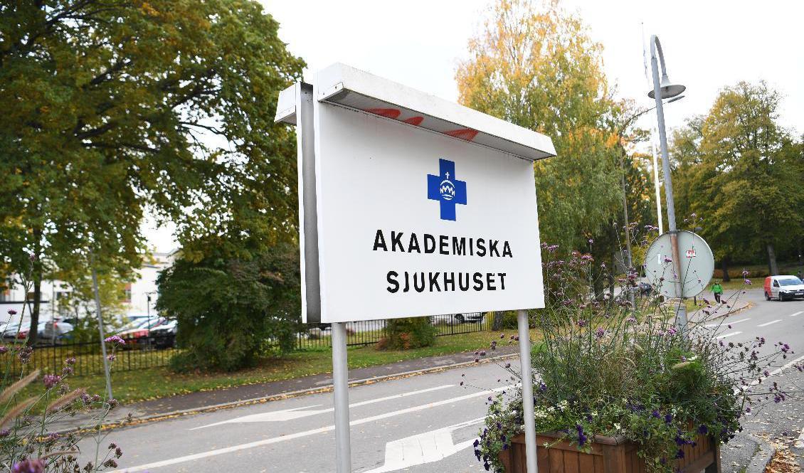 Ivo bedömer att det finns stora brister vid Akademiska sjukhusets akutmottagning. Arkivbild. Foto: Fredrik Sandberg/TT