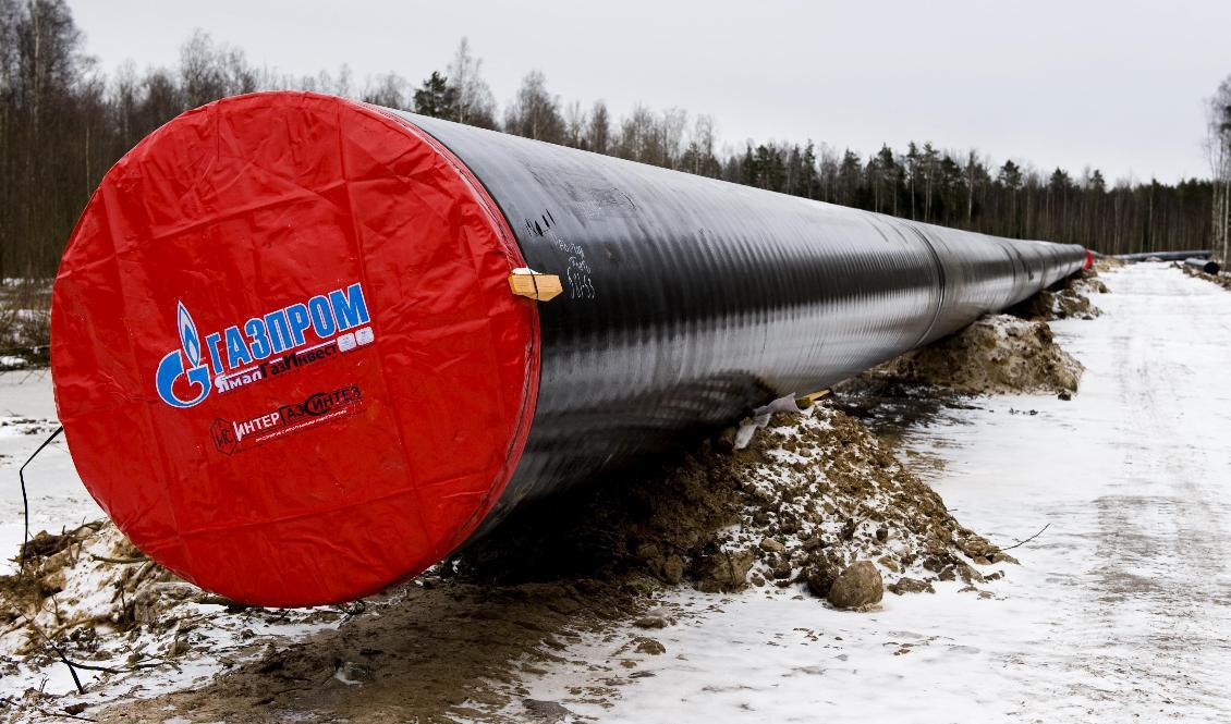 Gazprom skickar mindre gas till Europa. Arkivbild. Foto: Henrik Montgomery/TT