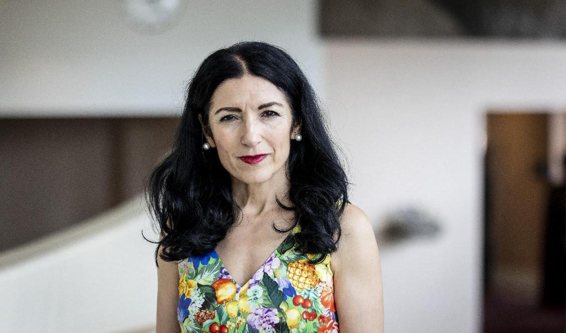 Den politiska vilden Amineh Kakabaveh tänker inte stödja regeringens ändringsbudget om Turkiet får köpa vapen från Sverige. Arkivbild. Foto: Christine Olsson/TT