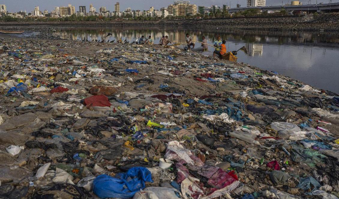 Bombay (Mumbai). En tredjedel av plasten i Indien återvinns aldrig, utan hamnar i naturen eller på soptippar. Arkivbild. Foto: Rafiq Maqbool/AP/TT