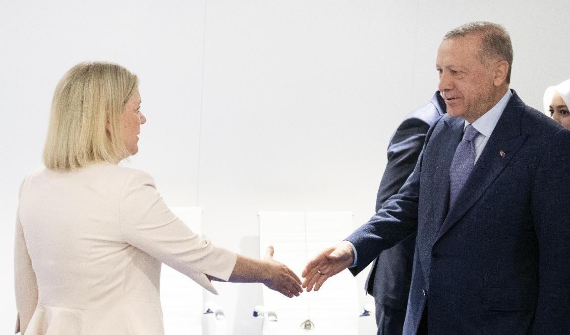 Sveriges statsminister Magdalena Andersson (S) och Turkiets president Recep Tayyip Erdogan inför Natoländernas toppmöte i Madrid den 28 juni. Foto: Henrik Montgomery/TT