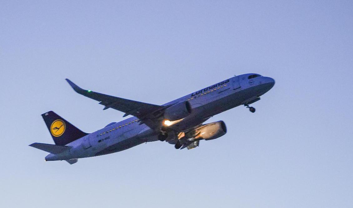 Lufthansa ställer in 770 flygningar. Arkivbild. Foto: Håkon Mosvold Larsen
